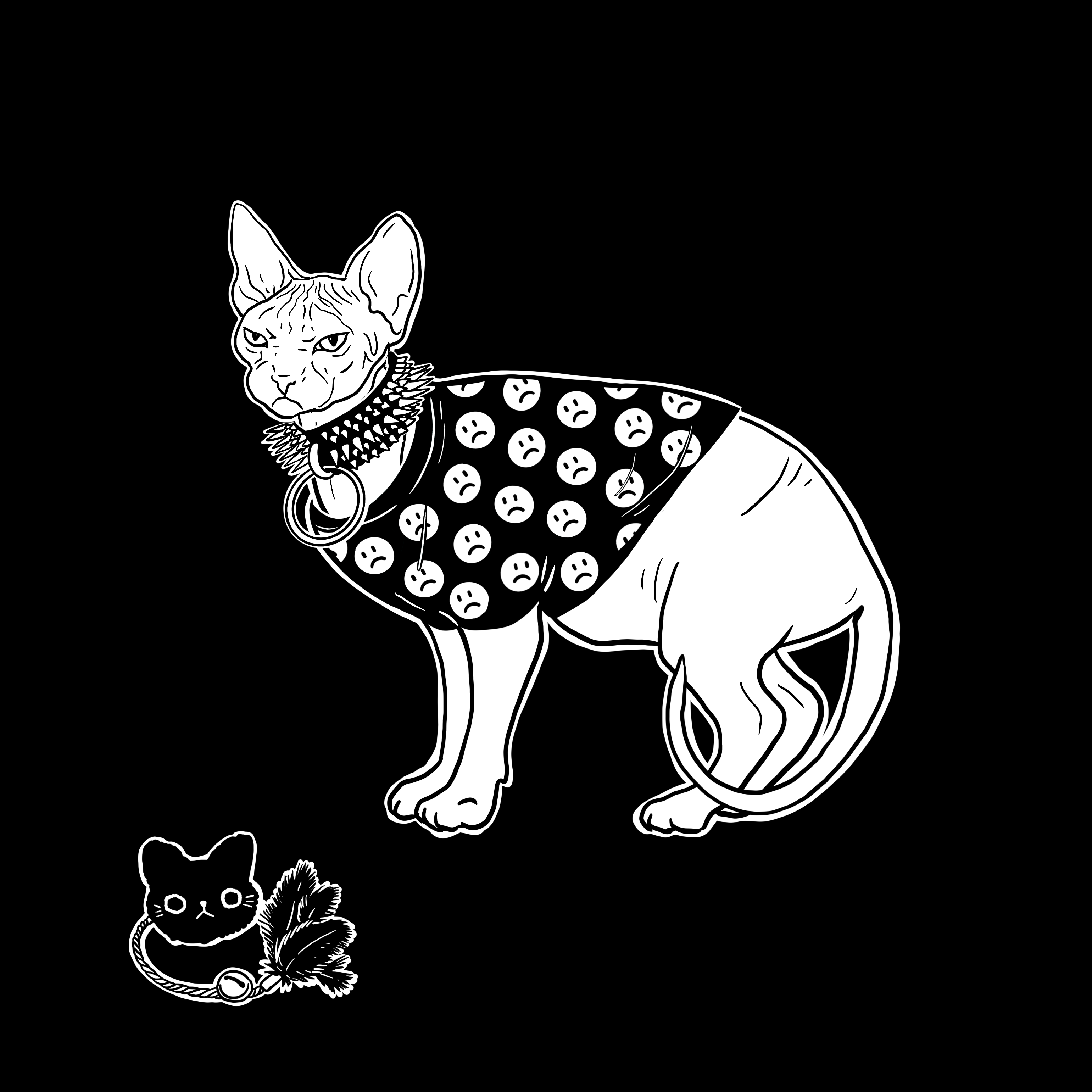 The Sad Cat #1897