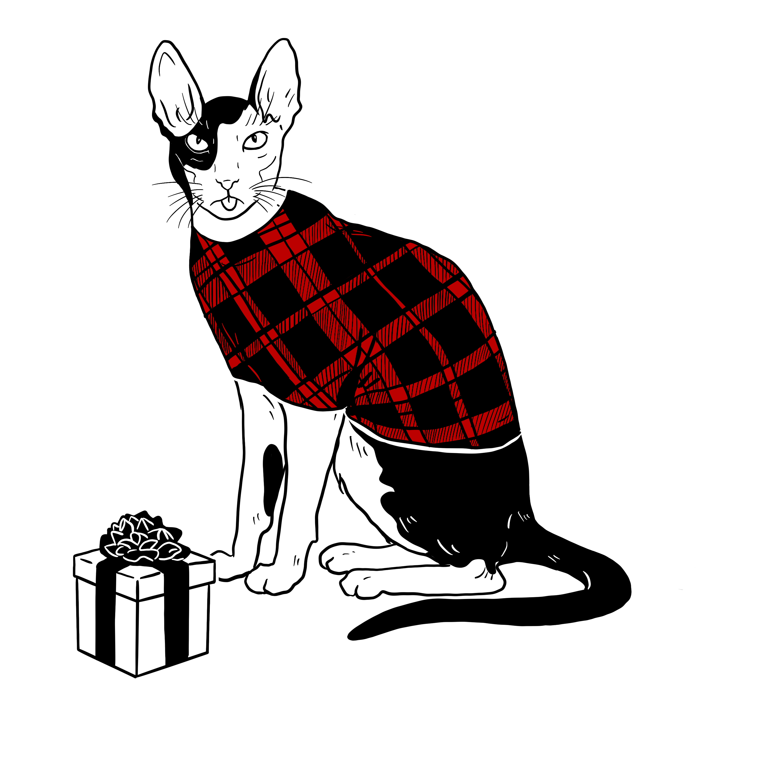 The Sad Cat #4953