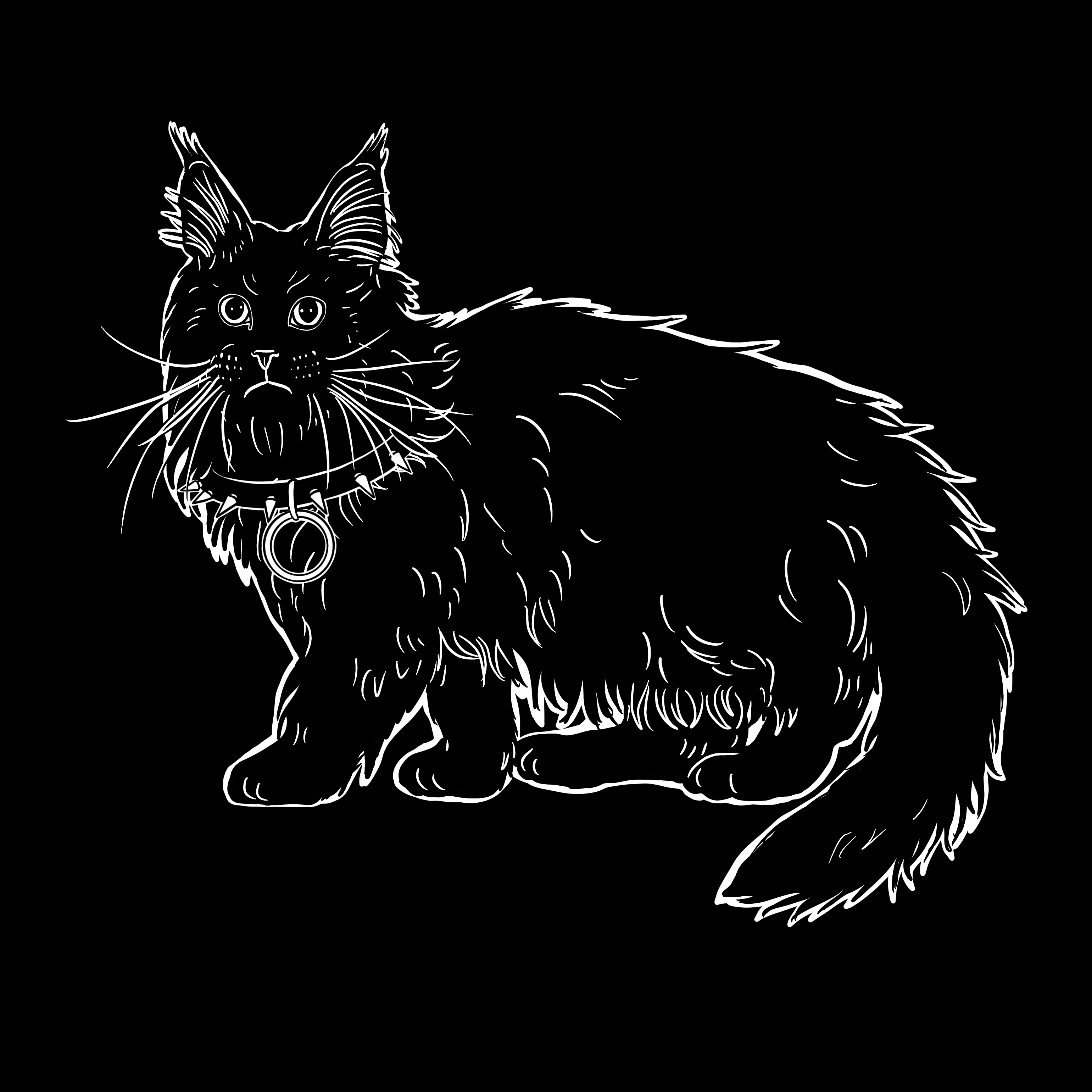 The Sad Cat #5852
