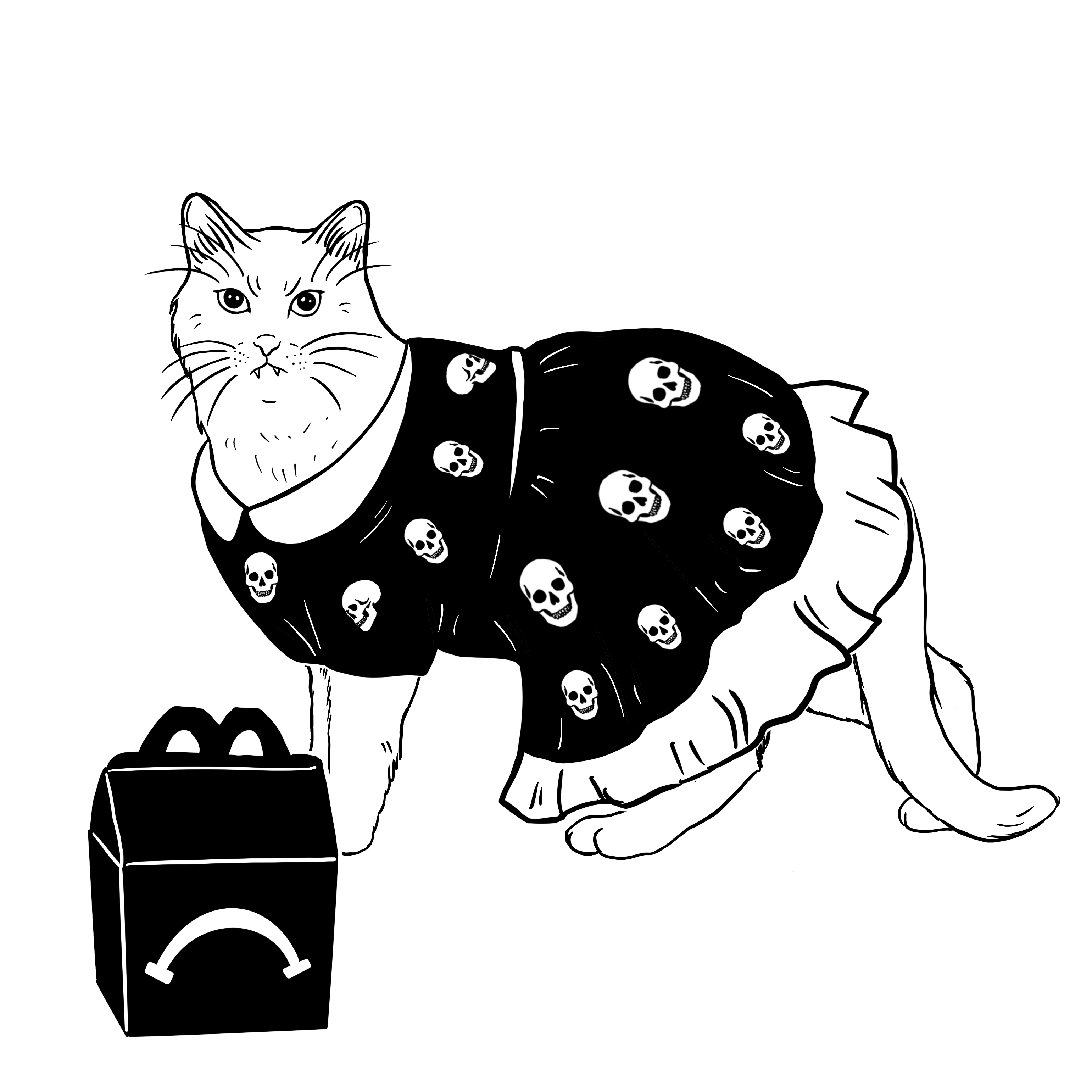 The Sad Cat #5873