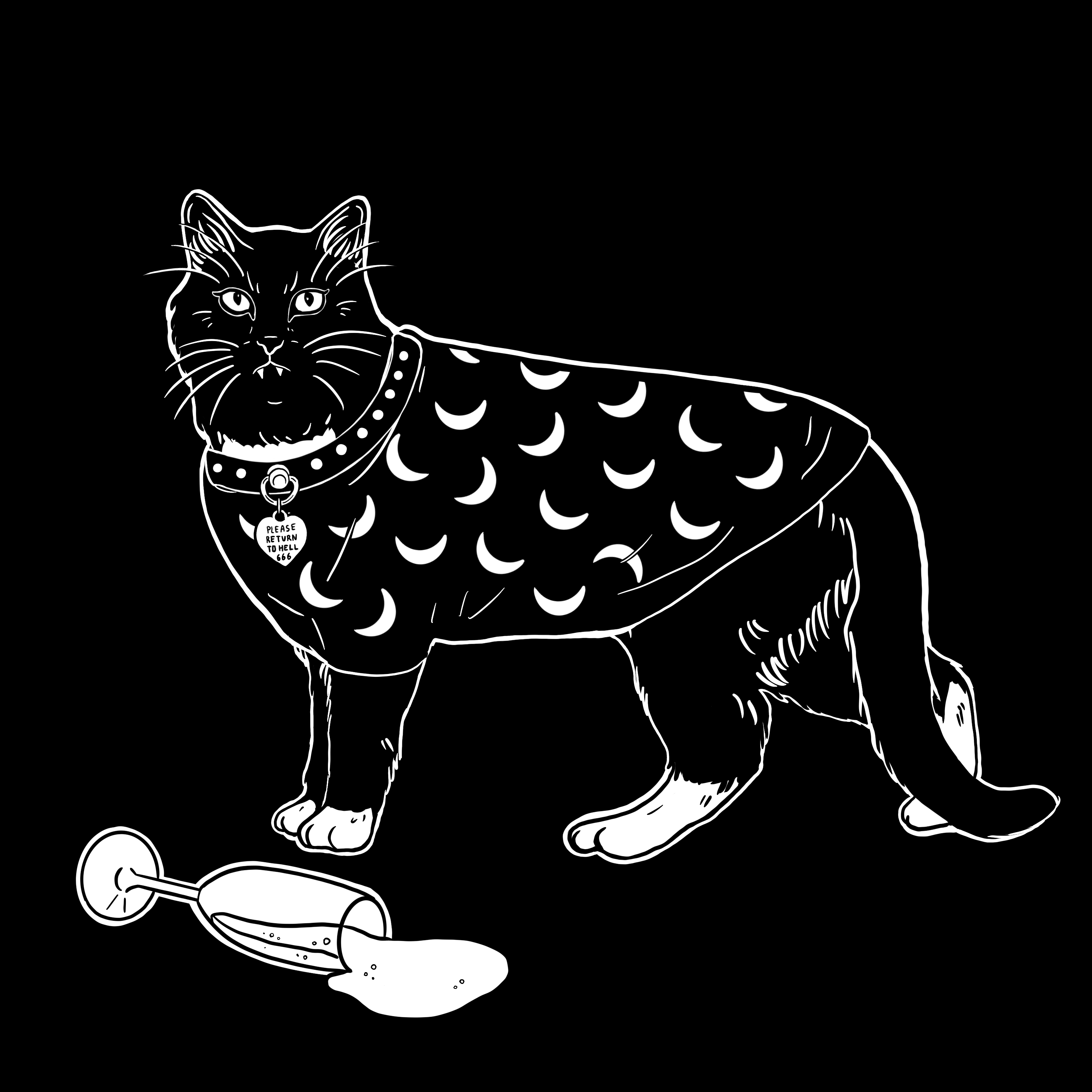 The Sad Cat #6108