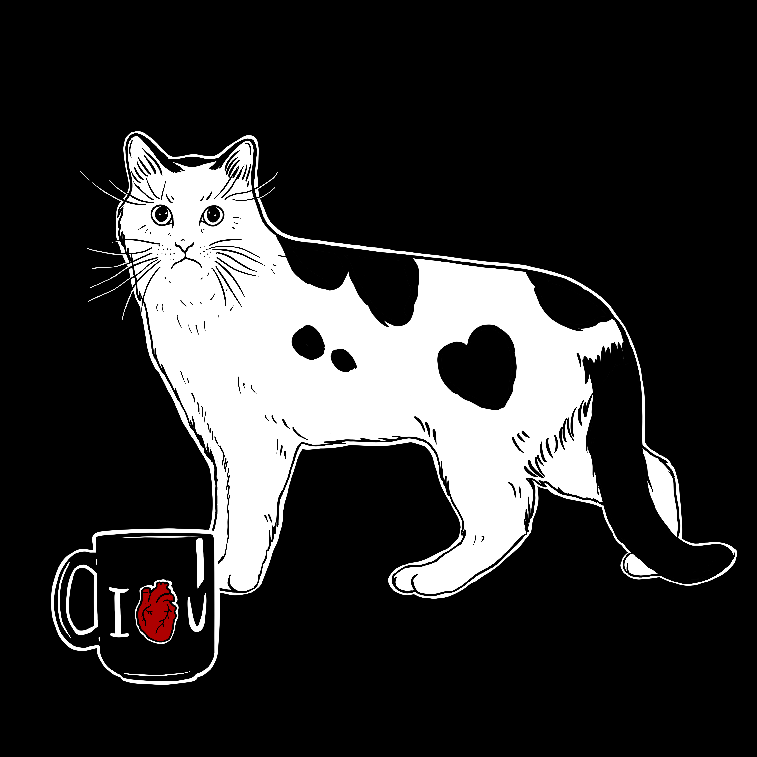 The Sad Cat #6207