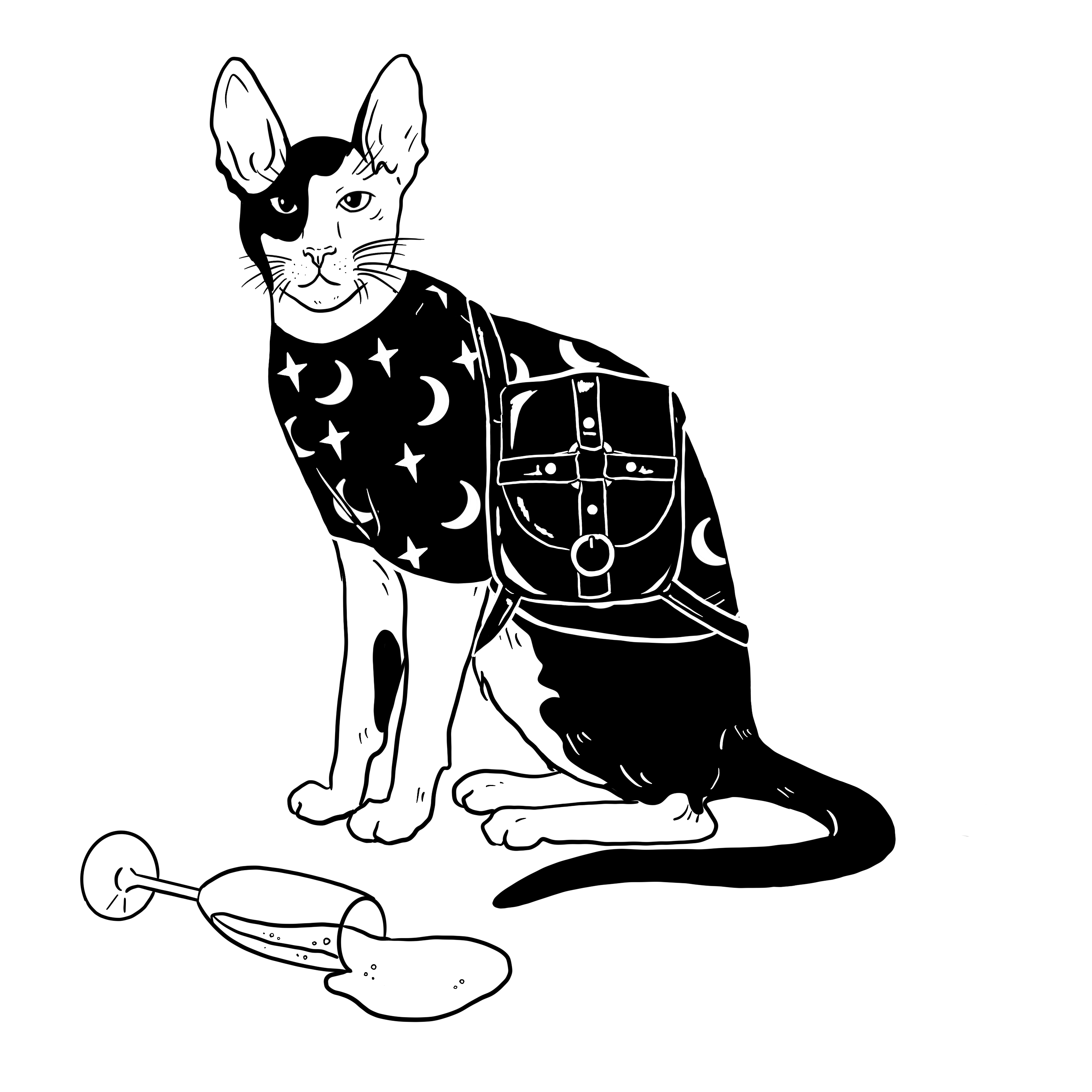 The Sad Cat #6350