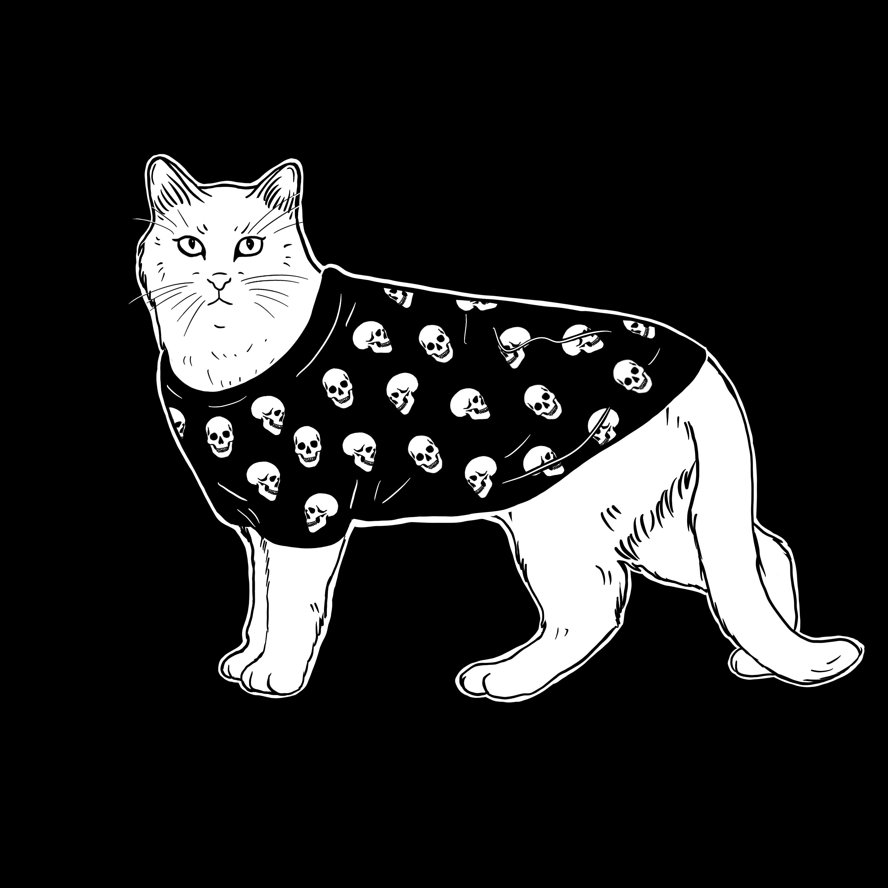 The Sad Cat #6492