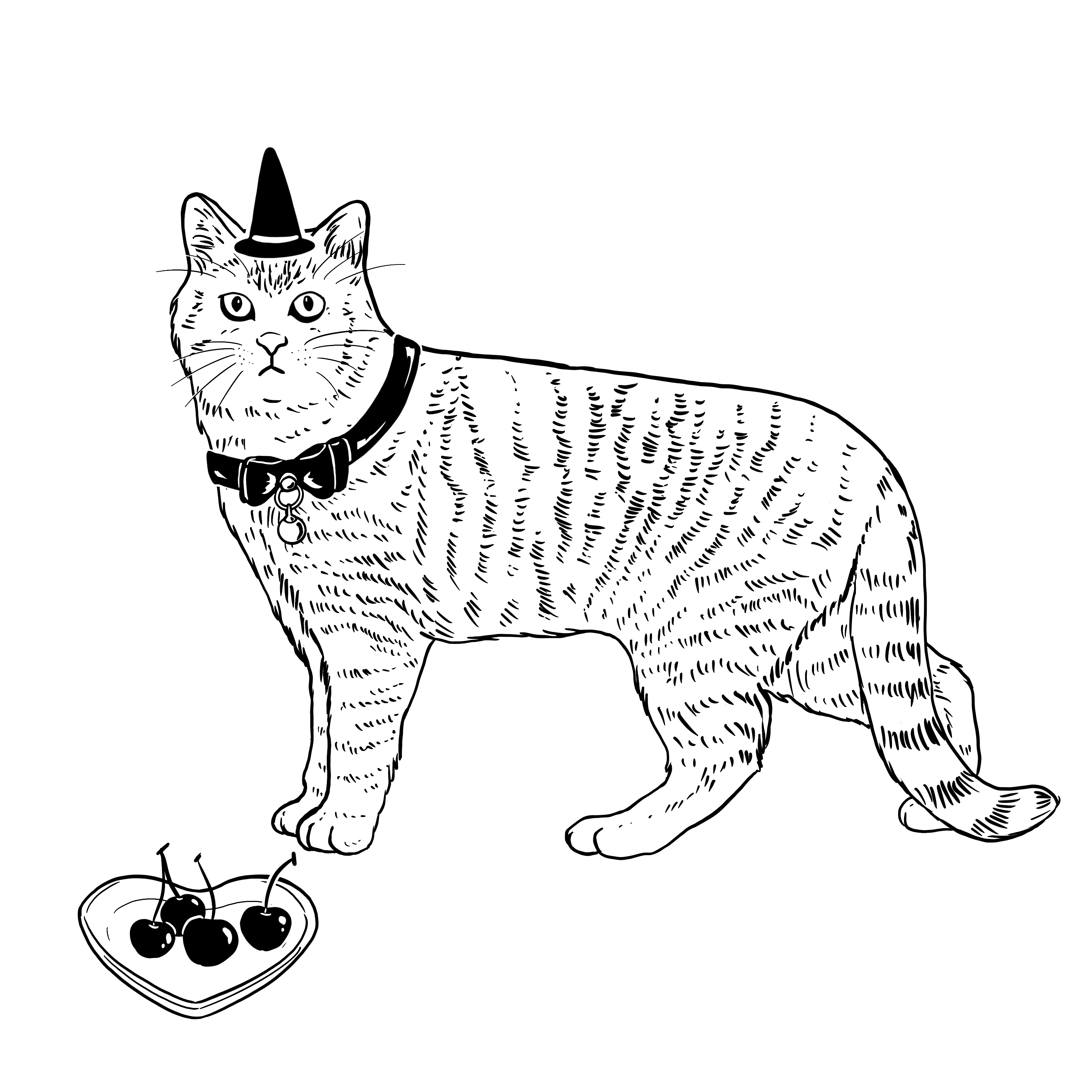 The Sad Cat #6502